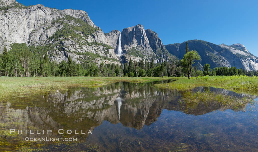 Yosemite Falls reflected in flooded meadow.  The Merced  River floods its banks in spring, forming beautiful reflections of Yosemite Falls. Yosemite National Park, California, USA, natural history stock photograph, photo id 26854