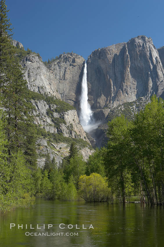 Yosemite Falls rises above the Merced River, viewed from the Swinging Bridge.  The 2425 falls is the tallest in North America.  Yosemite Valley. Yosemite National Park, California, USA, natural history stock photograph, photo id 16143