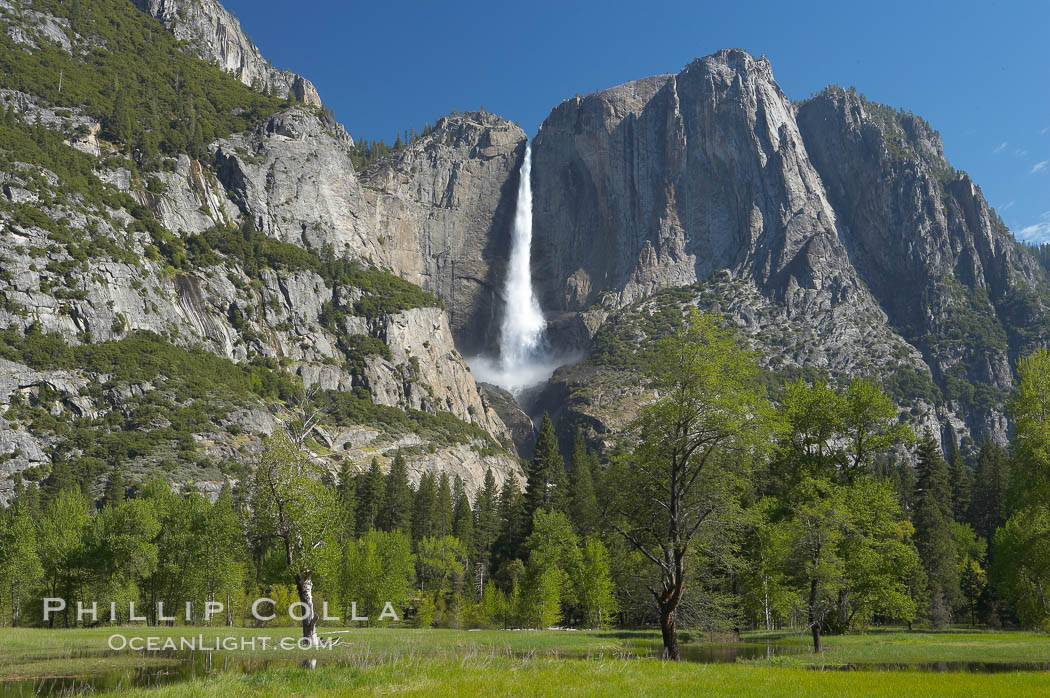 Yosemite Falls rises above Cooks Meadow.  The 2425 falls, the tallest in North America, is at peak flow during a warm-weather springtime melt of Sierra snowpack.  Yosemite Valley. Yosemite National Park, California, USA, natural history stock photograph, photo id 16156