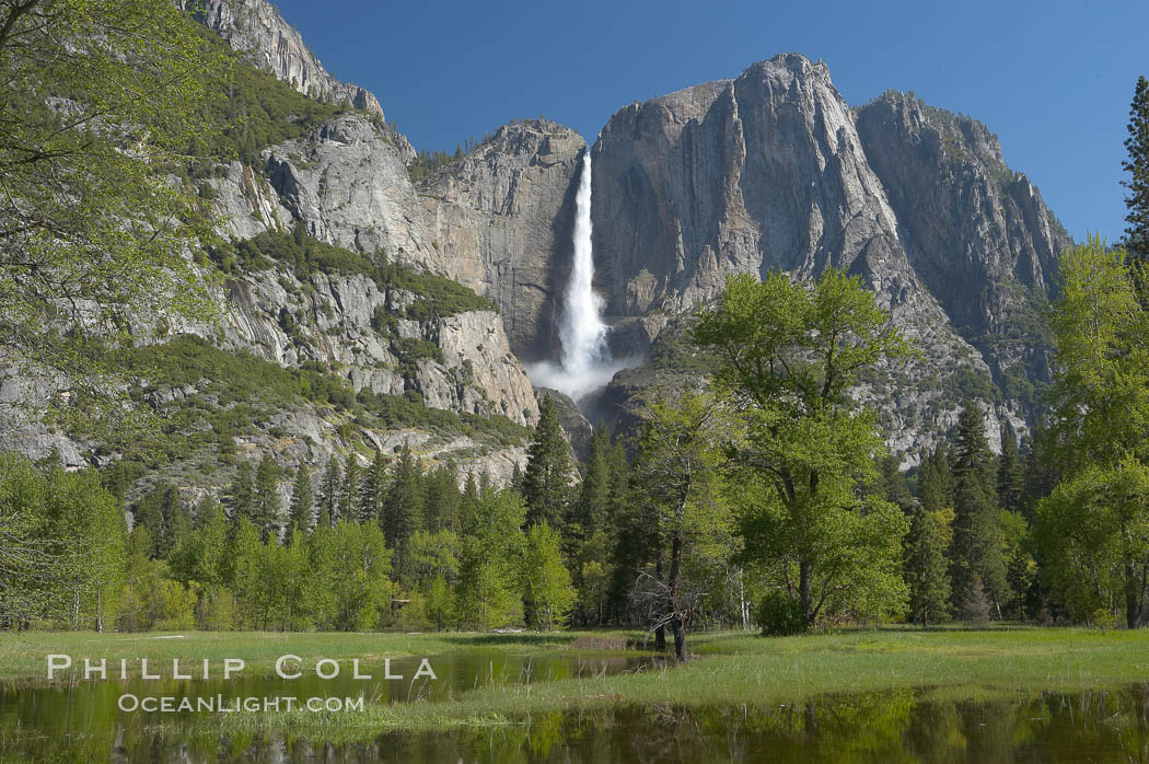 Yosemite Falls rises above Cooks Meadow.  The 2425 falls, the tallest in North America, is at peak flow during a warm-weather springtime melt of Sierra snowpack.  Yosemite Valley. Yosemite National Park, California, USA, natural history stock photograph, photo id 16157