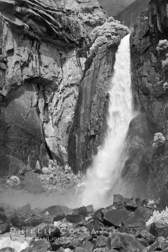 Lower Yosemite Falls in spring. Yosemite National Park, California, USA, natural history stock photograph, photo id 22769