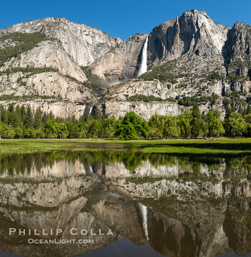 Yosemite Falls reflected in Flooded Cooks Meadow, when the Merced River floods Yosemite Valley following a winter of historic snowfall in the Sierra Nevada, Yosemite National Park. California, USA, natural history stock photograph, photo id 39382