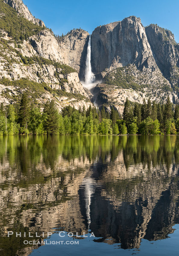 Yosemite Falls reflected in Flooded Sentinel Meadow, when the Merced River floods Yosemite Valley following a winter of historic snowfall in the Sierra Nevada, Yosemite National Park. California, USA, natural history stock photograph, photo id 39377