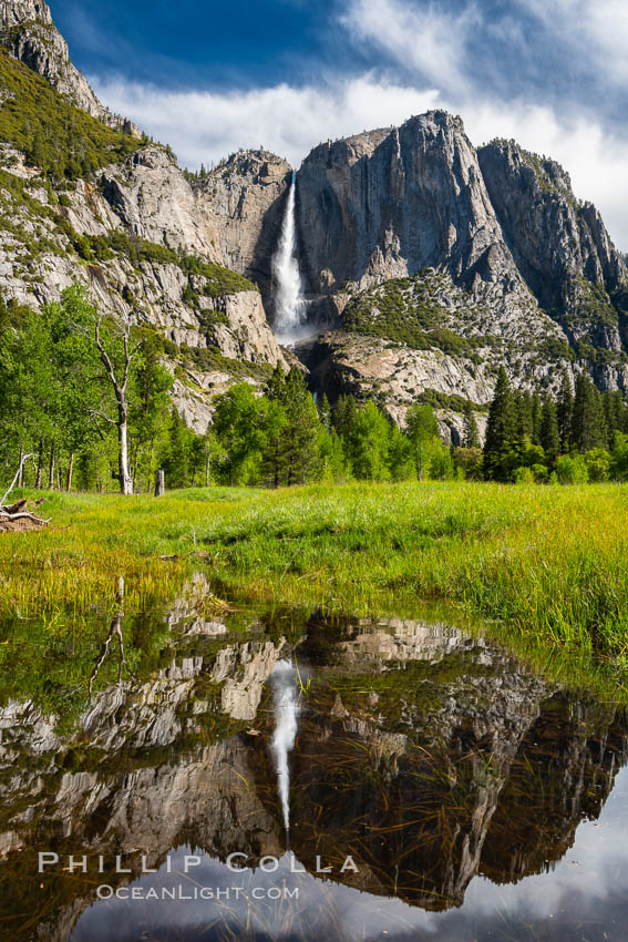 Yosemite Falls is reflected in a springtime pool in flooded Cooks Meadow, Yosemite Valley. Yosemite National Park, California, USA, natural history stock photograph, photo id 34548