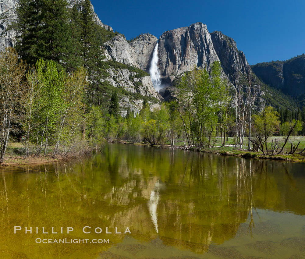 Yosemite Falls rises above the Merced River, viewed from the Swinging Bridge. The 2425' falls is the tallest in North America, Yosemite National Park, California