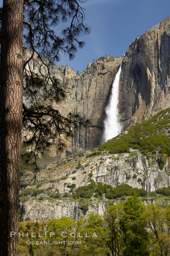 Yosemite Falls at peak flow in late spring, viewed from Cooks Meadow, Yosemite National Park, California