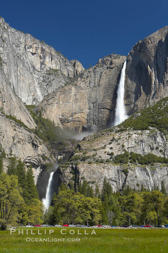 Yosemite Falls rises above Cooks Meadow.  The 2425 falls, the tallest in North America, is at peak flow during a warm-weather springtime melt of Sierra snowpack.  Yosemite Valley. Yosemite National Park, California, USA, natural history stock photograph, photo id 16138