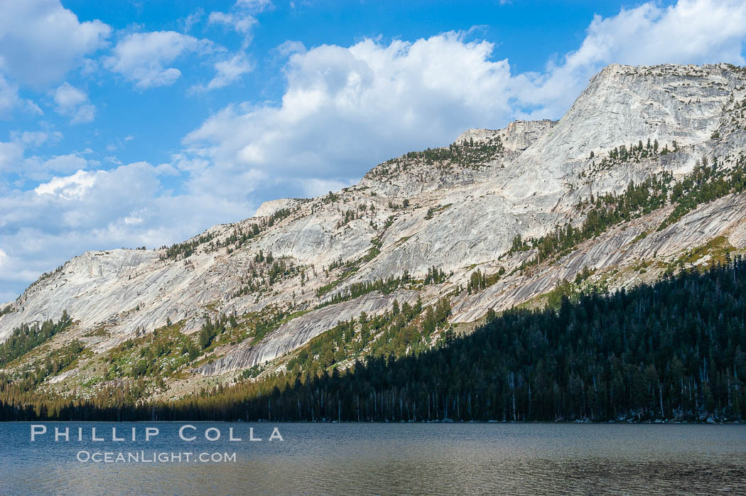 Tenaya Peak rises above Tenaya Lake near Tuolumne Meadows. Yosemite National Park, California, USA, natural history stock photograph, photo id 09957