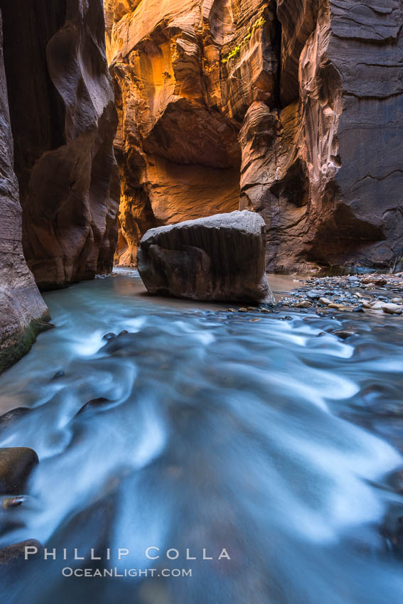 The Virgin River Narrows, where the Virgin River has carved deep, narrow canyons through the Zion National Park sandstone, creating one of the finest hikes in the world. Utah, USA, natural history stock photograph, photo id 32622
