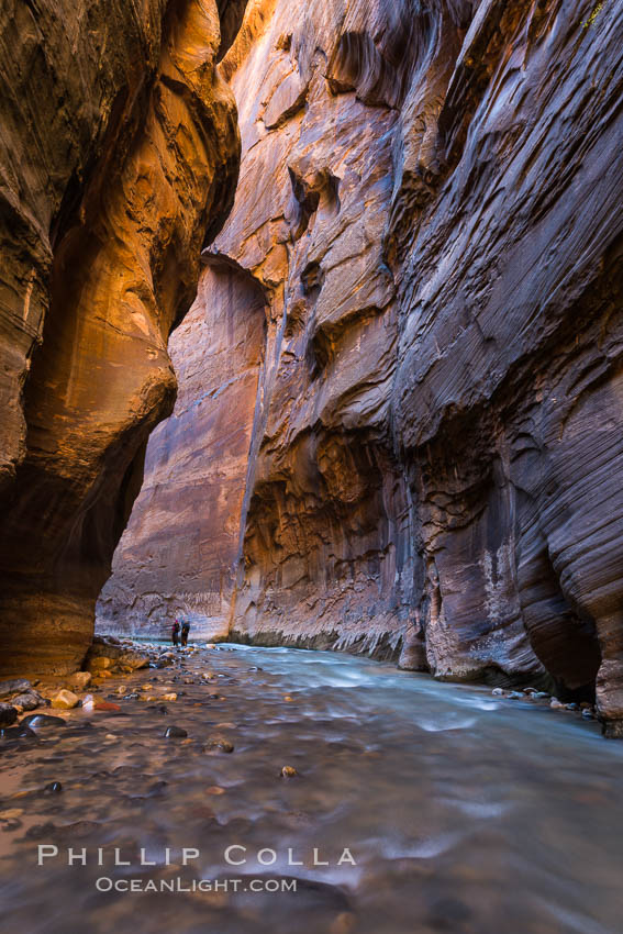 The Virgin River Narrows, where the Virgin River has carved deep, narrow canyons through the Zion National Park sandstone, creating one of the finest hikes in the world. Utah, USA, natural history stock photograph, photo id 32615
