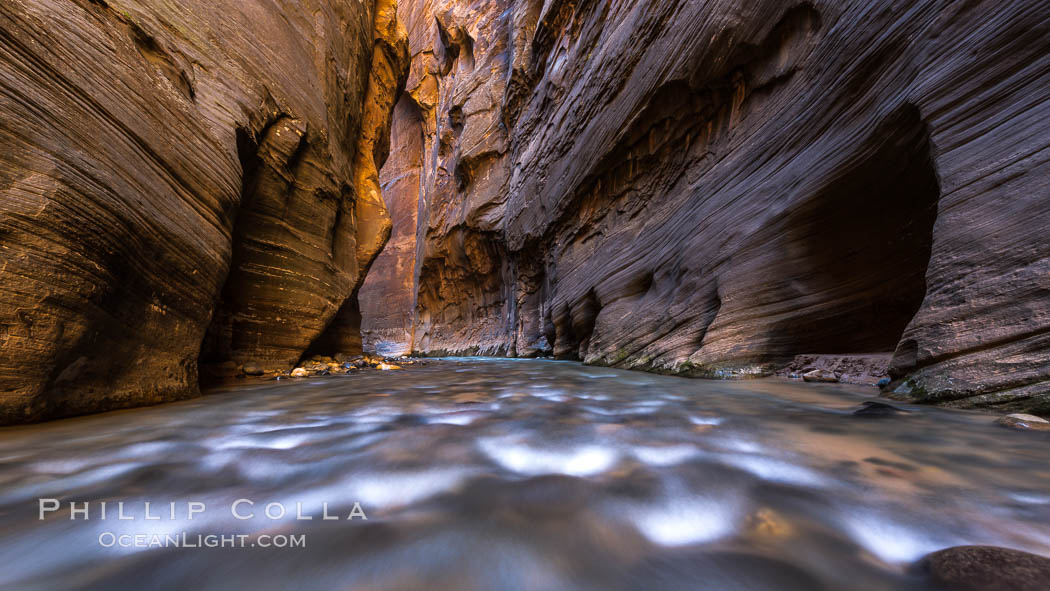 The Virgin River Narrows, where the Virgin River has carved deep, narrow canyons through the Zion National Park sandstone, creating one of the finest hikes in the world. Utah, USA, natural history stock photograph, photo id 32617