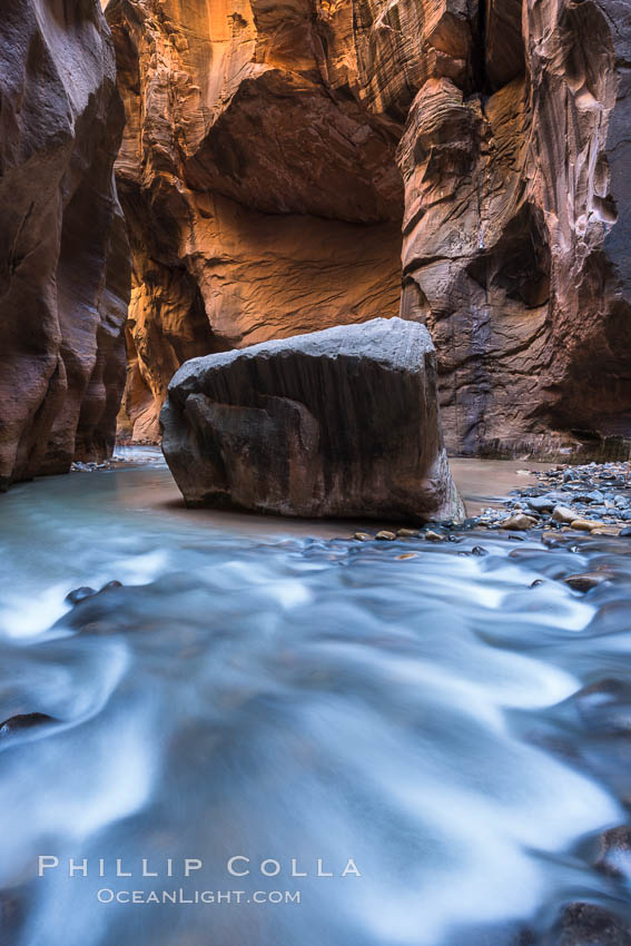 The Virgin River Narrows, where the Virgin River has carved deep, narrow canyons through the Zion National Park sandstone, creating one of the finest hikes in the world. Utah, USA, natural history stock photograph, photo id 32621