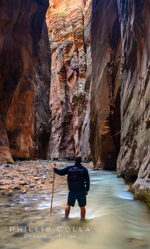 The Virgin River Narrows, where the Virgin River has carved deep, narrow canyons through the Zion National Park sandstone, creating one of the finest hikes in the world. Utah, USA, natural history stock photograph, photo id 32625