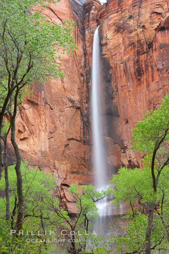 Waterfall at Temple of Sinawava during peak flow following spring rainstorm. Zion Canyon, Zion National Park, Utah
