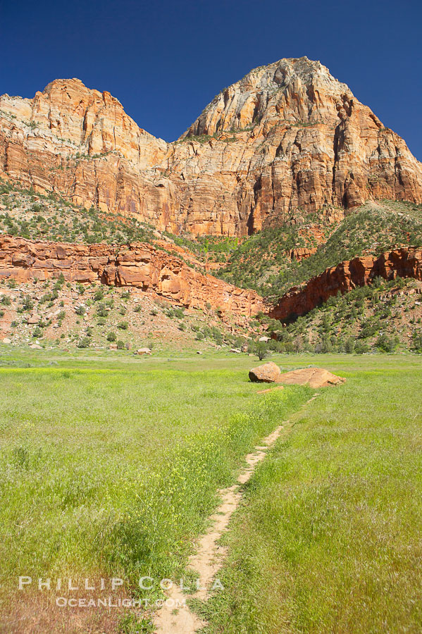 Red sandstone peaks above the Parus trail in Zion National Park., natural history stock photograph, photo id 12486