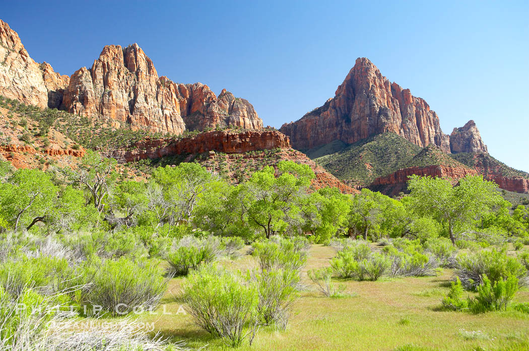 Red sandstone peaks above the Parus trail in Zion National Park., natural history stock photograph, photo id 12488
