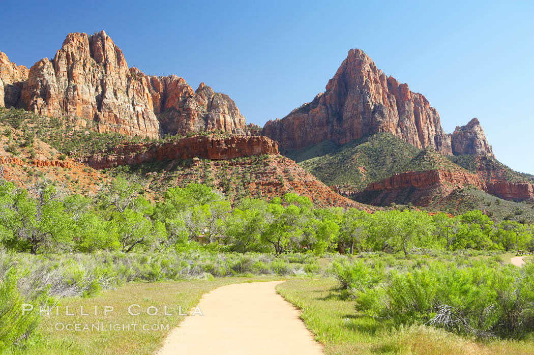 Red sandstone peaks above the Parus trail in Zion National Park. Utah, USA, natural history stock photograph, photo id 12487