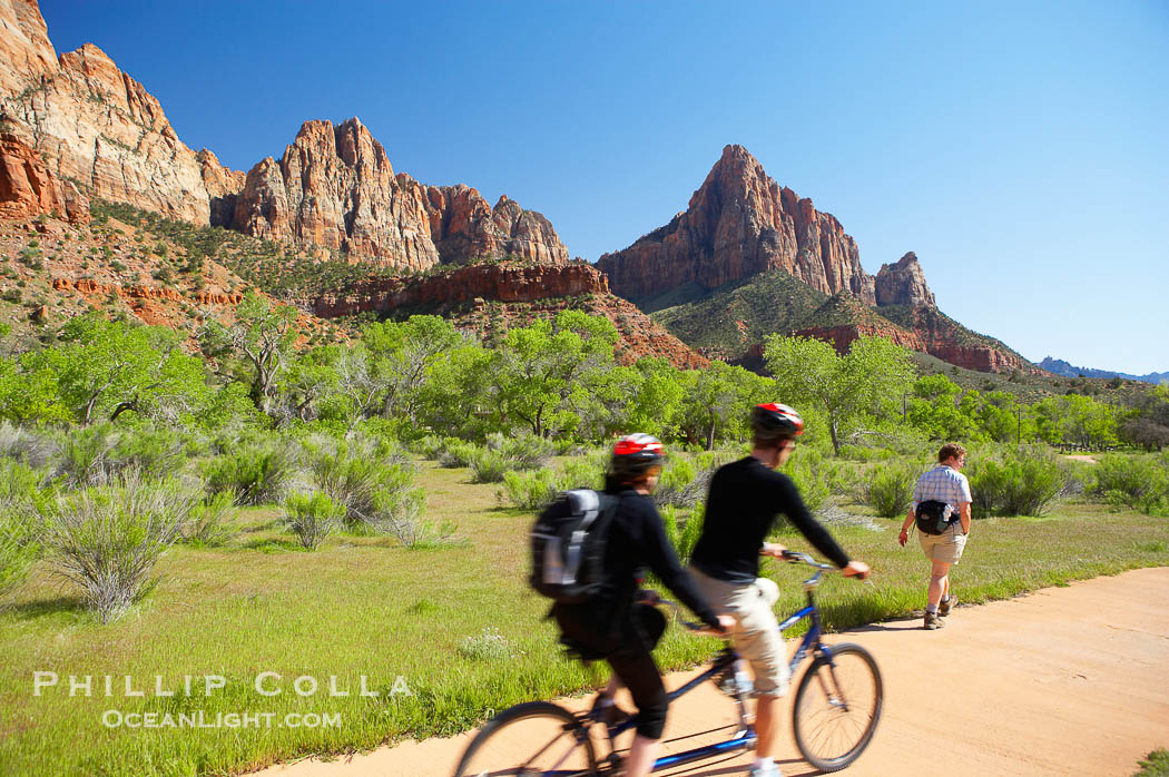 Red sandstone peaks above the Parus trail in Zion National Park., natural history stock photograph, photo id 12489