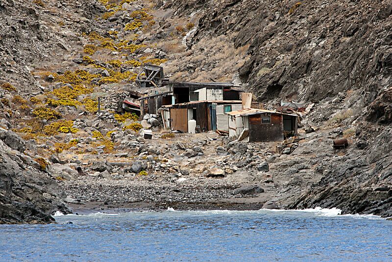 Guadalupe Island 2010, © Skip Stubbs, all rights reserved worldwide