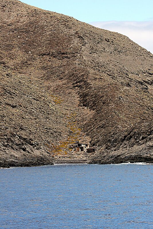 Guadalupe Island 2010, © Skip Stubbs, all rights reserved worldwide