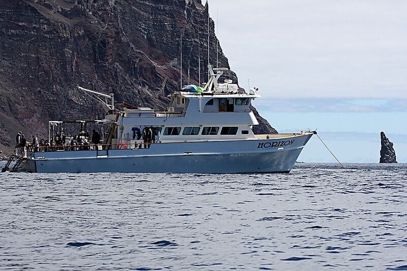 Guadalupe Island 2010, © Skip Stubbs, all rights reserved worldwide