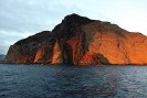Guadalupe Island 2010, © Skip Stubbs, all rights reserved worldwide
