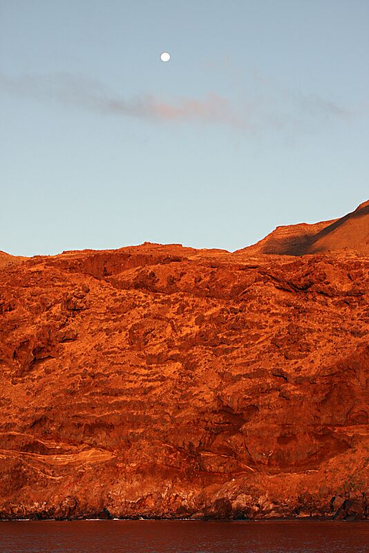 Guadalupe Island 2010, © Skip Stubbs, all rights reserved worldwide