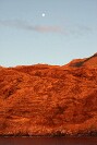 Guadalupe Island 2010, © Skip Stubbs, all rights reserved worldwide