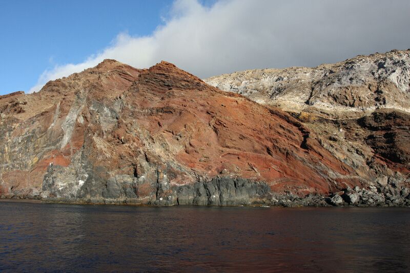 Guadalupe Island 2010, © Skip Stubbs, all rights reserved worldwide