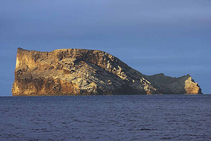 Guadalupe Island 2010, © Skip Stubbs, all rights reserved worldwide