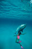 Atlantic spotted dolphin, Olympic swimmer Mikako Kotani. Bahamas. Image #00003