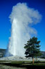 Old Faithful geyser, peak eruption. Upper Geyser Basin, Yellowstone National Park, Wyoming, USA