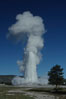Old Faithful geyser at peak eruption. Upper Geyser Basin, Yellowstone National Park, Wyoming, USA