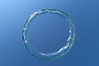 A underwater bubble ring!  Similar to the rings created by smokers, an underwater bubble ring can be made by exhaling just right.  When done correctly, the ring will rise toward the surface keeping its perfect toroidal form until it reaches a state of instability and breaks up. Image #07750