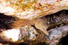 Moray eel in rock crevice. Guadalupe Island (Isla Guadalupe), Baja California, Mexico. Image #09583