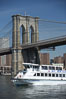 Lower Manhattan and the Brooklyn Bridge viewed from the East River. New York City, USA. Image #11122
