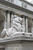 The stone lions Patience and Fortitude guard the entrance to the New York City Public Library. Manhattan, USA. Image #11156
