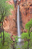 Waterfall at Temple of Sinawava during peak flow following spring rainstorm.  Zion Canyon. Zion National Park, Utah, USA. Image #12450