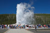 A crowd enjoys watching Old Faithful geyser at peak eruption. Upper Geyser Basin, Yellowstone National Park, Wyoming, USA