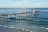 The Scripps Institution of Oceanography research pier is 1090 feet long and was built of reinforced concrete in 1988, replacing the original wooden pier built in 1915.  The Scripps Pier is home to a variety of sensing equipment above and below water that collects various oceanographic data.  The Scripps research diving facility is located at the foot of the pier.  Fresh seawater is pumped from the pier to the many tanks and facilities of SIO, including the Birch Aquarium.  The Scripps Pier is named in honor of Ellen Browning Scripps, the most significant donor and benefactor of the Institution. La Jolla, California, USA. Image #14748