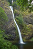 Horsetail Falls drops 176 feet just a few yards off the Columbia Gorge Scenic Highway. Columbia River Gorge National Scenic Area, Oregon, USA. Image #19316