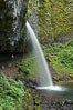 Ponytail Falls, where Horsetail Creeks drops 100 feet over an overhang below which hikers can walk. Columbia River Gorge National Scenic Area, Oregon, USA. Image #19335