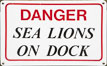 Dock sign warning visitors of sea lions. Astoria, Oregon, USA. Image #19381