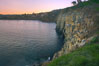 La Jolla Cliffs overlook the ocean with thousands of cormorants, pelicans and gulls resting and preening on the sandstone cliffs.  Sunrise with pink skies. California, USA. Image #20254