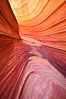 The Wave, an area of fantastic eroded sandstone featuring beautiful swirls, wild colors, countless striations, and bizarre shapes set amidst the dramatic surrounding North Coyote Buttes of Arizona and Utah.  The sandstone formations of the North Coyote Buttes, including the Wave, date from the Jurassic period. Managed by the Bureau of Land Management, the Wave is located in the Paria Canyon-Vermilion Cliffs Wilderness and is accessible on foot by permit only. USA. Image #20609