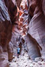 Hiker in Buckskin Gulch.  A hiker considers the towering walls and narrow passageway of Buckskin Gulch, a dramatic slot canyon forged by centuries of erosion through sandstone.  Buckskin Gulch is the worlds longest accessible slot canyon, running from the Paria River toward the Colorado River.  Flash flooding is a serious danger in the narrows where there is no escape. Paria Canyon-Vermilion Cliffs Wilderness, Arizona, USA. Image #20716