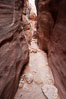 The Wire Pass narrows.  This exceedingly narrow slot canyon, in some places only two feet wide, is formed by water erosion which cuts slots deep into the surrounding sandstone plateau. Paria Canyon-Vermilion Cliffs Wilderness, Arizona, USA. Image #20720