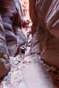 Hiker in Buckskin Gulch.  A hiker considers the towering walls and narrow passageway of Buckskin Gulch, a dramatic slot canyon forged by centuries of erosion through sandstone.  Buckskin Gulch is the worlds longest accessible slot canyon, running from the Paria River toward the Colorado River.  Flash flooding is a serious danger in the narrows where there is no escape. Paria Canyon-Vermilion Cliffs Wilderness, Arizona, USA