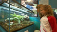 Visitors view a display of amphibians at the "Water" exhibit, San Diego Natural History Museum. Balboa Park, California, USA. Image #22180