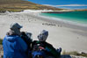 Visitors watch gentoo and Magellanic penguins on beautiful Leopard Beach, coming ashore after they have foraged at sea. Carcass Island, Falkland Islands, United Kingdom. Image #23973